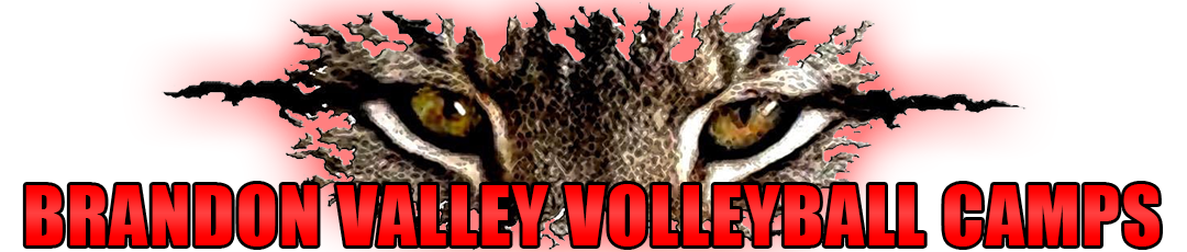 Brandon Valley High School - Volleyball
